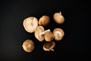 shiitake mushrooms on black background