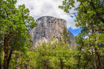 Fototapeta na wymiar El Capitan seen from the valley floor in Yosemite National Park
