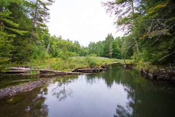Fototapeta na wymiar Hiking in Lake George Upstate New York Adirondacks