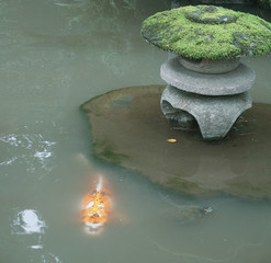 zen garden pond
