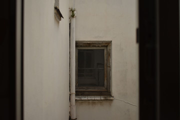 Fototapeta na wymiar Views from the window of an abandoned house. 