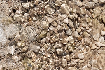 stones in the water