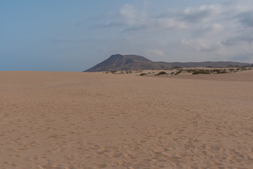 Fototapeta na wymiar panorama island fuerteventura island in the desert