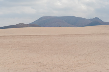 panorama island fuerteventura island in the desert
