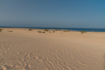 panorama island fuerteventura island in the desert