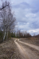 Early spring in central Russia. Country road, birch trees. Heavy gray clouds.