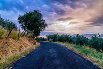 Strada di campagna