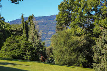 Italie - Piémont - Iles Borromées - Parc de l'ile Madre - 