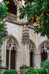 Fototapeta na wymiar Gothic atrium of Monastery of San Juan de los Reyes in the city of Toledo, Spain