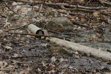 broken drain tile pipe with bonus chipmunk