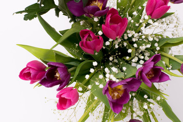 Fototapeta premium Spring tulips flowers on the white background