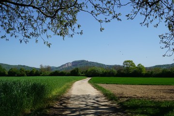 Agrarian fields with path in Weinheim, Germany. The two castles Windeck and Wachenburg of the town and quarry in background. Sunny day with blue cloudless sky and some shadows of the trees.