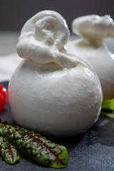 Cheese collection, fresh soft white burrata cheese ball made from mozzarella and cream from Apulia, Italy