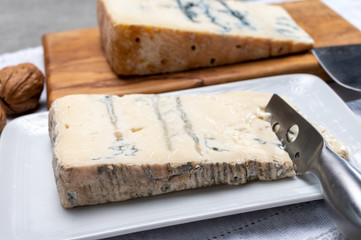 Italian food, buttery or firm blue cheese made from cow milk in Gorgonzola, Milan, Italy