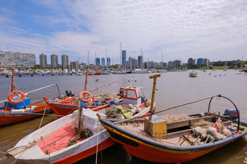 Fototapeta na wymiar The view of Montevideo skyline from Buceo Port Pier Harbor crowed of small fishing boats and ships, Montevideo Uruguay