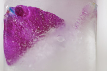 Frozen purple flowers and orchids