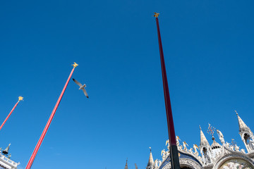 Gabbiano in volo in piazza San Marco a Venezia © andrix