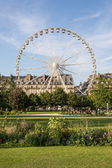Tuileries Garden in Paris, France, Europe