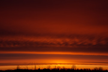 Fototapeta na wymiar beautiful spring sunset in red colors