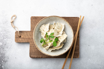 Korean dumplings with soy sauce on a white background , asian food.