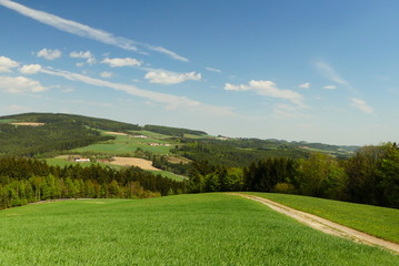 Fototapeta na wymiar Niederösterreeichische Landschaft
