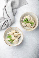 Korean dumplings with soy sauce on a white background , asian food.
