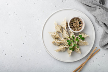 Korean dumplings with soy sauce on a white background , asian food.