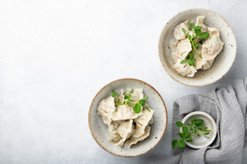 Korean dumplings with soy sauce on a white background , asian food.