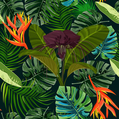 Naklejki  Ciemny fioletowy kwiat Tacca i tło heliconia. Wzór tropikalnych roślin egzotycznych.