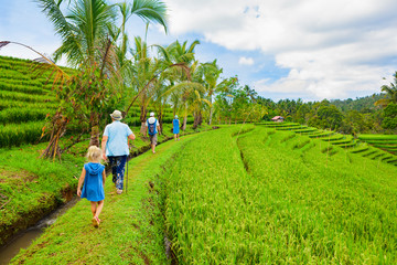 Nature walk in green rice terrace. Tourist group of retirees, kids trekking by path with beautiful view of Balinese traditional fields. Travel adventure with child, family vacation in Bali, Indonesia