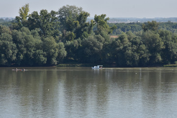 The Danube River and its green bank with tall trees