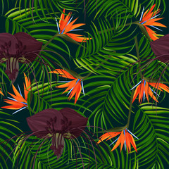 Fototapeta na wymiar Dark purple Tacca flower and strelizia background. Tropical exotic plant seamless pattern.