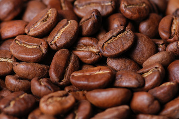 coffee beans closeup