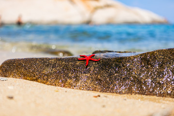 A lively beautiful bright red starfish with five curved tentacles lies on a warm wet granite stone on the sandy shore of the Mediterranean blue sea, the gentle summer sun reflects on the stone