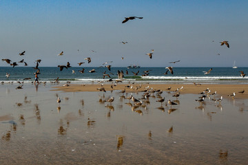 View of the coastline.