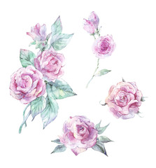 set of watercolor rose buds 2