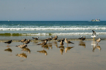 View of the coastline.