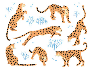 Set of leopards in different poses.