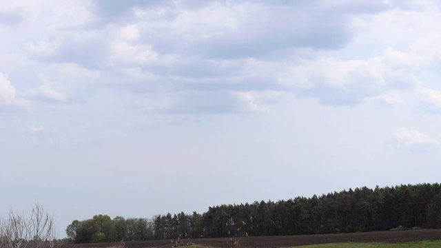 Background of dark clouds before a thunderstorm over spring fields and forest. Time lapse.
