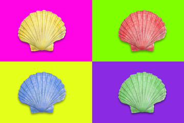 Quadrants in trendy neon yellow, green, purple and pink color with a color hue scallop shell in the middle. 