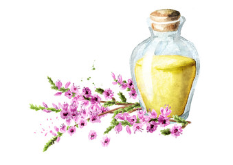 Obraz na płótnie Canvas Tincture from Purple heather flowers, medical plant, herbs medicine. Watercolor hand drawn illustration isolated on white background