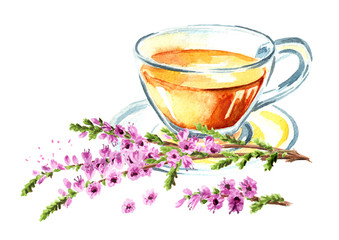 Tincture or tea with Purple heather flowers, medical plant, herbs medicine