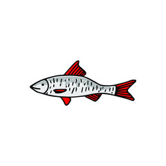 серый, речная рыба с красными перьями, каракули, векторная иллюстрация, красноперка, речная рыба