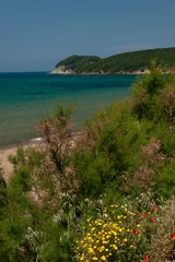 Fotobehang spiaggia vista mare con cespugli fioriti © tommypiconefotografo