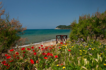 spiaggia vista mare con cespugli fioriti