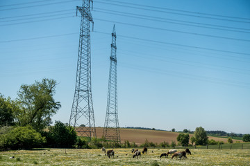 Hochspannungsmasten einer Überlandleitung