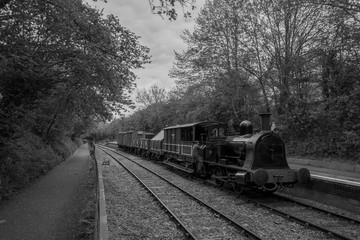 Plakat old train in the forest black and white