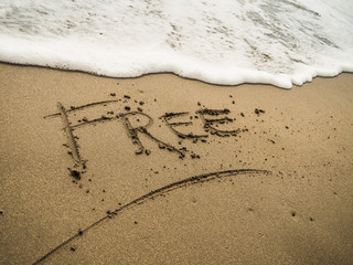 The word FREE written in beach sand with blue ocean water foam in the background 
