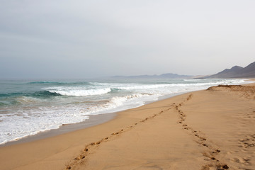 
orilla del mar con arena y olas en el fondo el horizonte entre el mar y el cielo azul.
