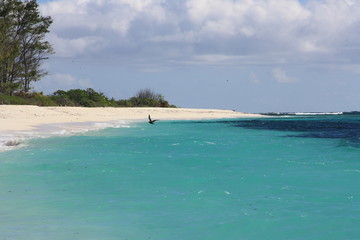 tropical beach with palm trees and blue sky